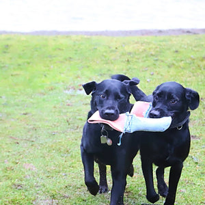 Dual-Handle Recycled Fire-Hose Tug of War Dog Toy