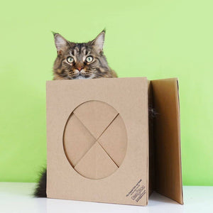 Hide & Sneak Paper Cat Play Tunnel