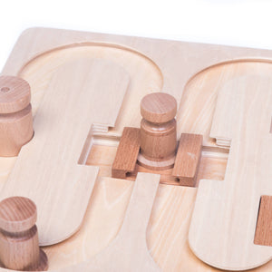 🧠 Advanced “008” Puzzle Game for Pets – Our Most Challenging Intelligence Toy