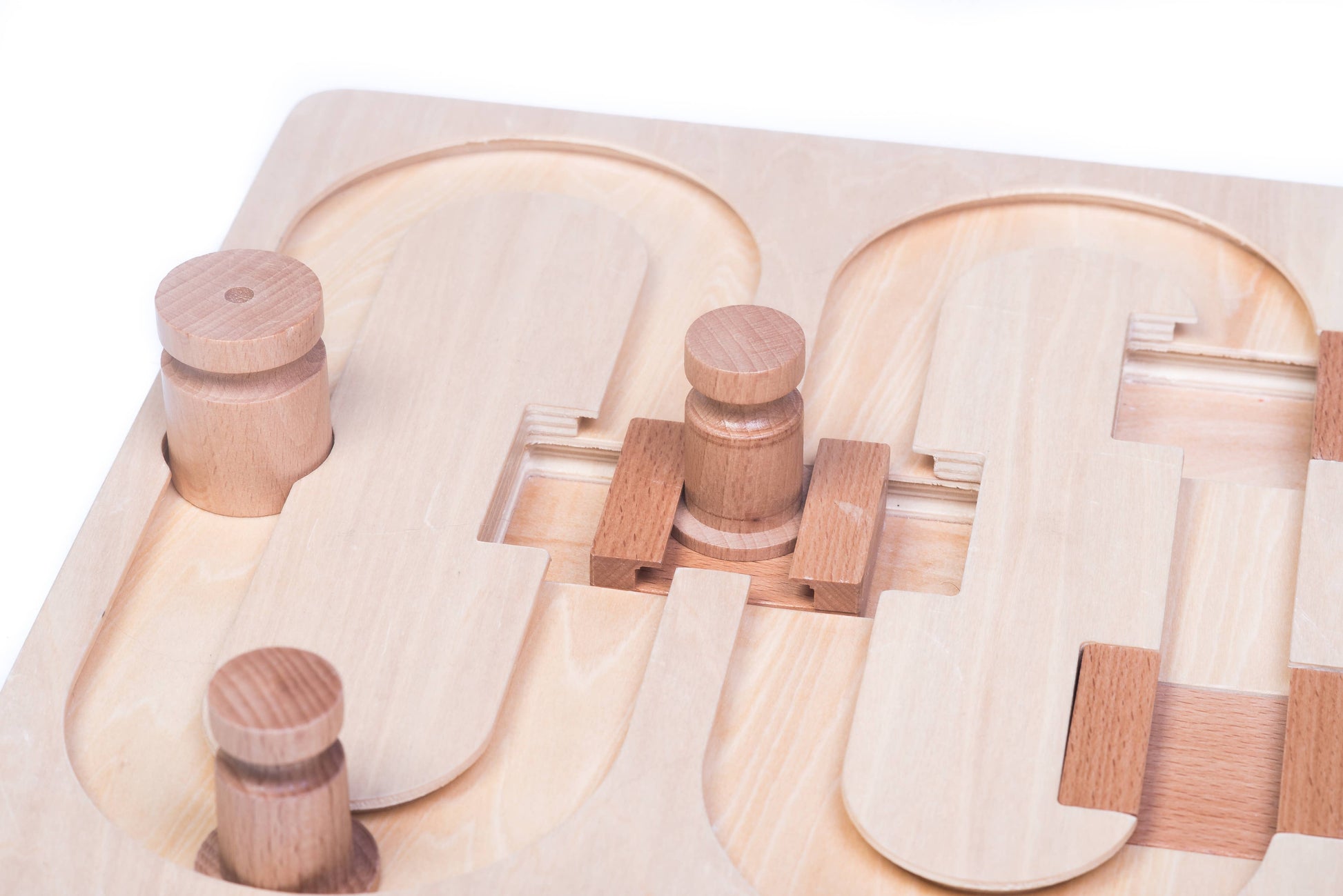 🧠 Advanced “008” Puzzle Game for Pets – Our Most Challenging Intelligence Toy