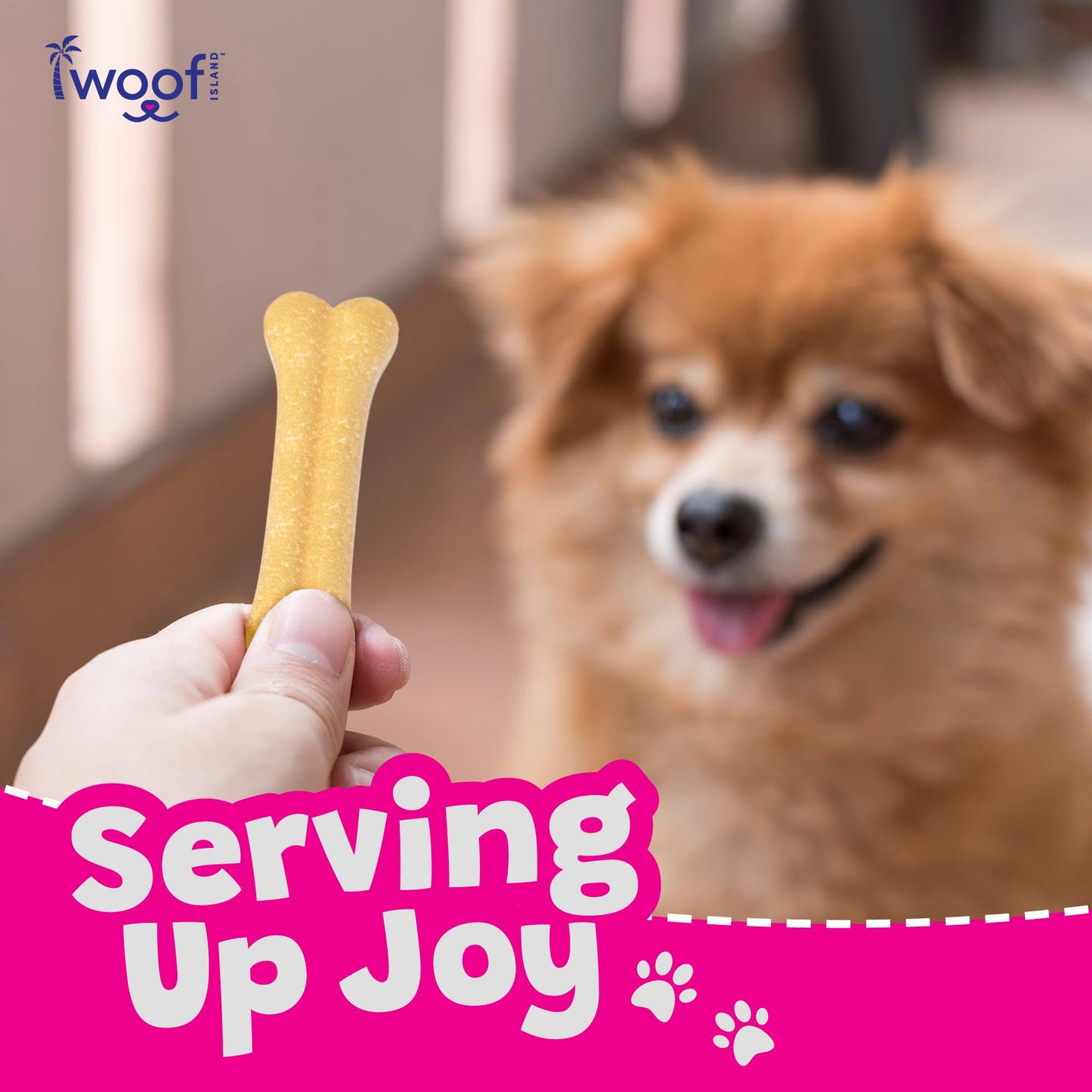🥥🦴 Woof Island™ Coconut Bones – All-Natural Rawhide-Free Dog Chews