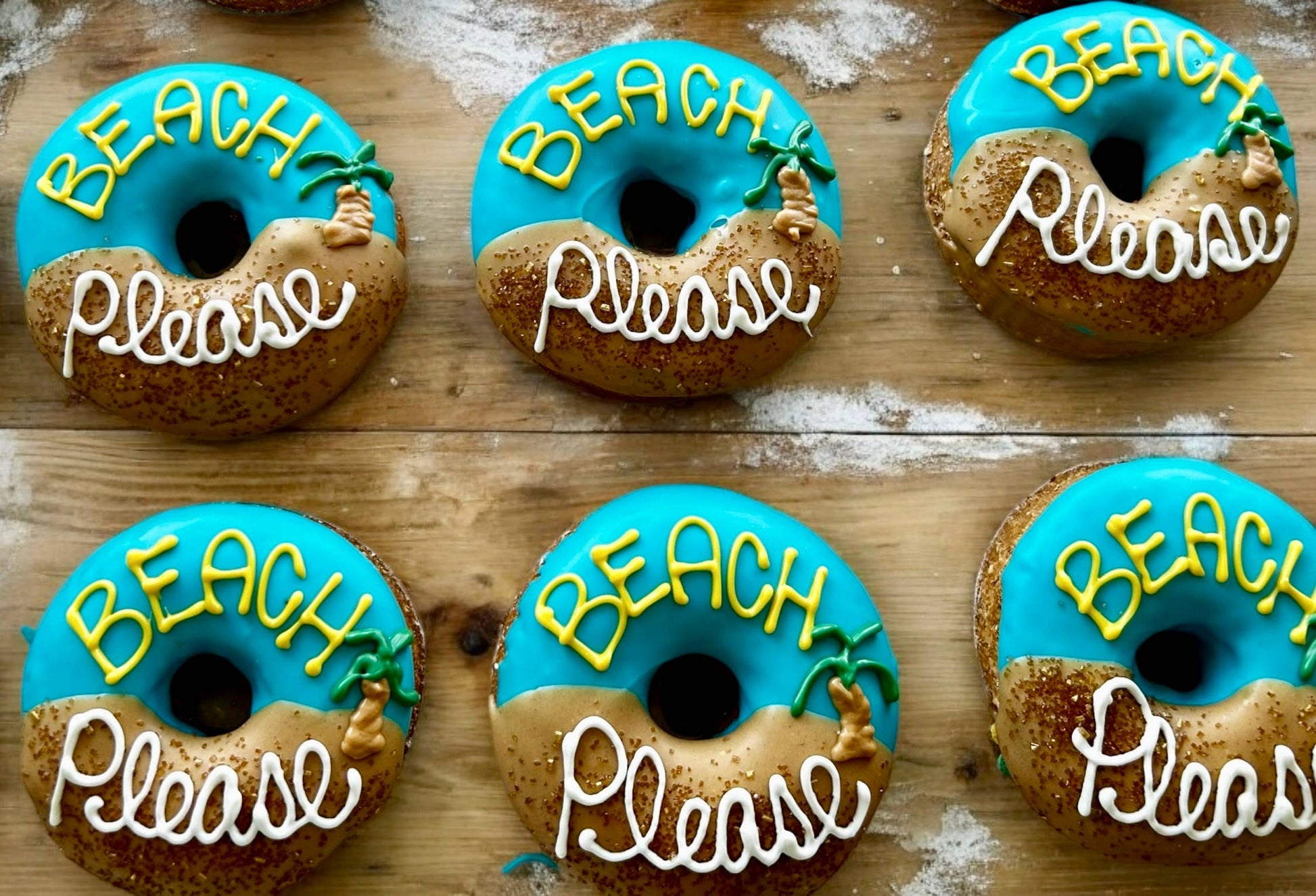 Beach PLEASE doggie donut dog treat