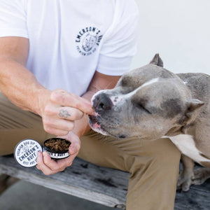 🐾 Premium Dog Dip BEEF & SHROOMS