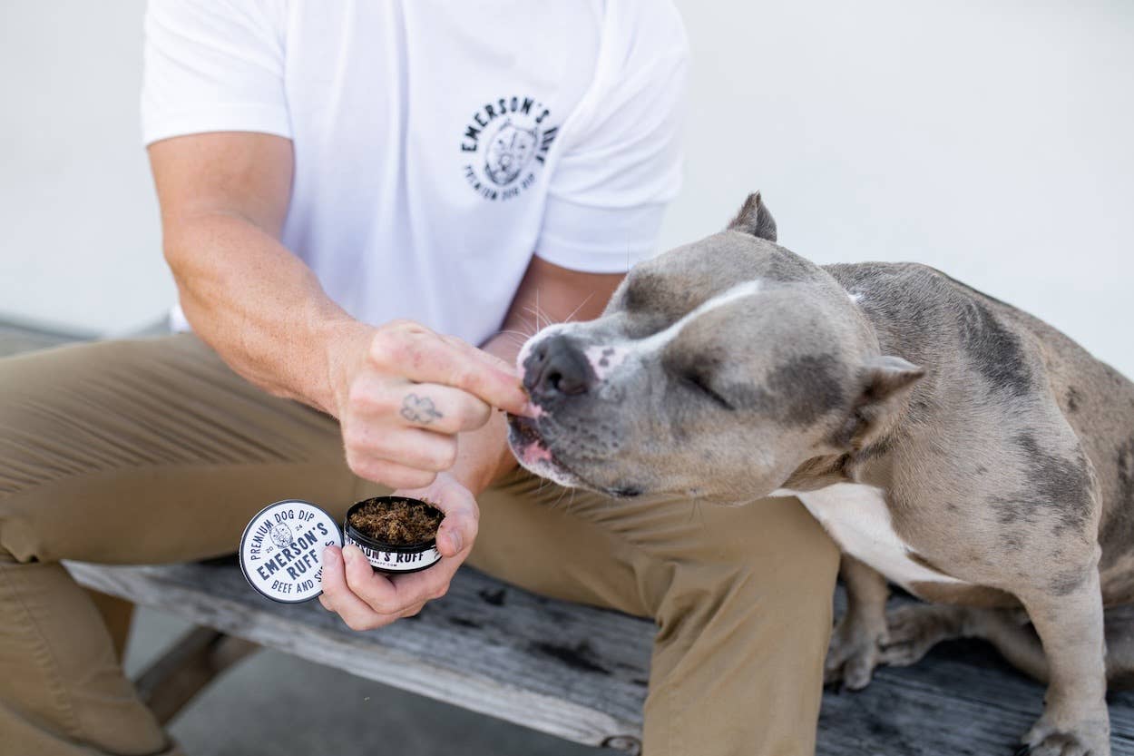 🐾 Premium Dog Dip BEEF & SHROOMS