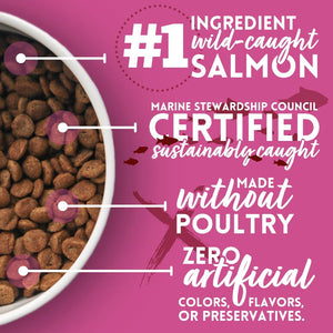 Salmon & Sweet Potato Recipe Dry Dog Food, M/L bag