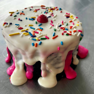 Neapolitan “ICE CREAM” Dog Cake Treat