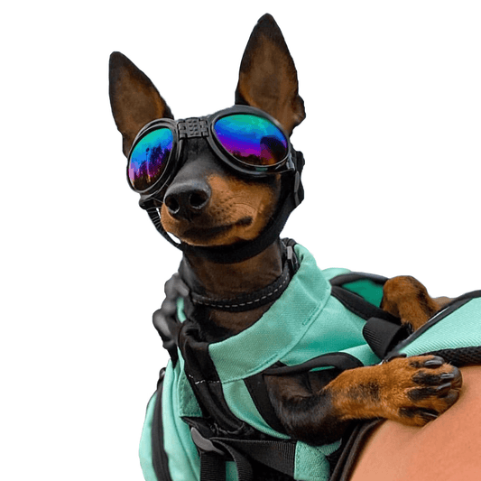 🕶️🐾 K9 Sport Sack Dog Sport Shades – Eye Protection for Every Adventure
