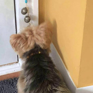 Doggie Door Bells