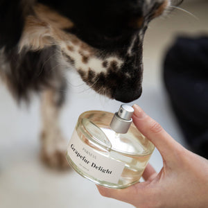 Dog Perfume Grapefur Delight