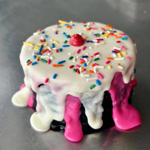 Neapolitan “ICE CREAM” Dog Cake Treat