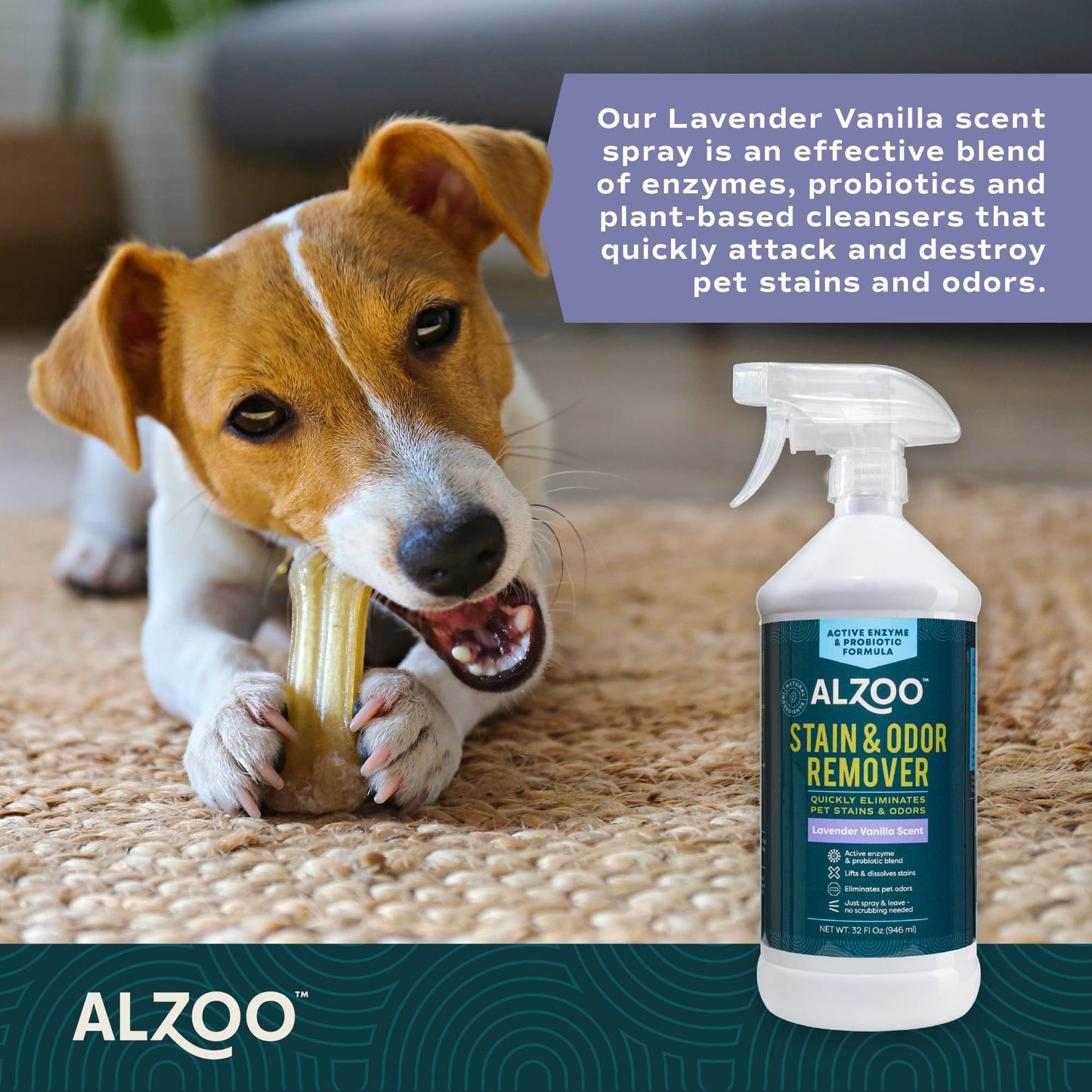 🐶🌿 ALZOO Enzymatic-Based Stain & Odor Remover Lavender, 16oz