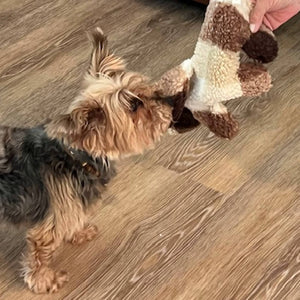 Hank the Moose