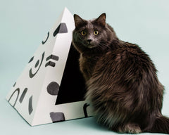 'Doodle' Cardboard Cat Pyramid