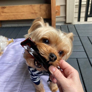 Mighty Marrows Collagen Dental Chew