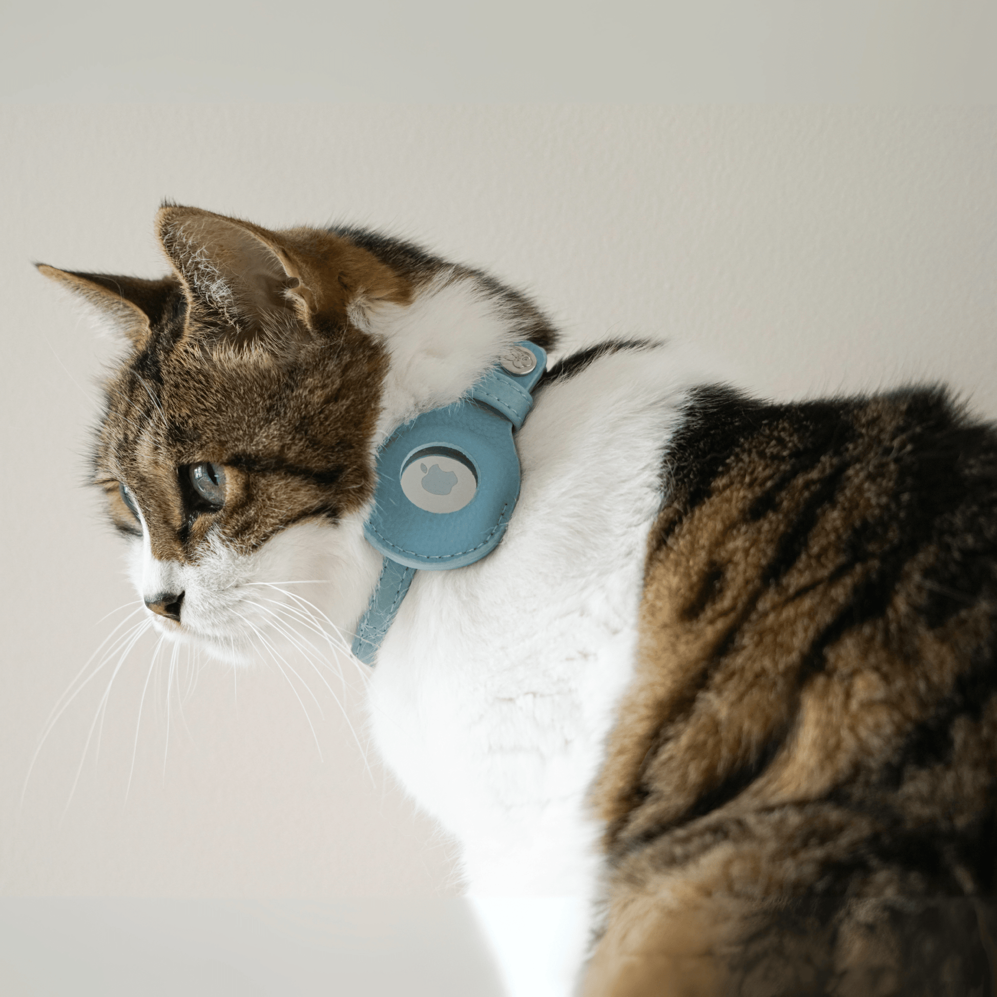 ✨🐱 Silver‑Powered Microfiber Vegan Leather AirTag Cat Collar