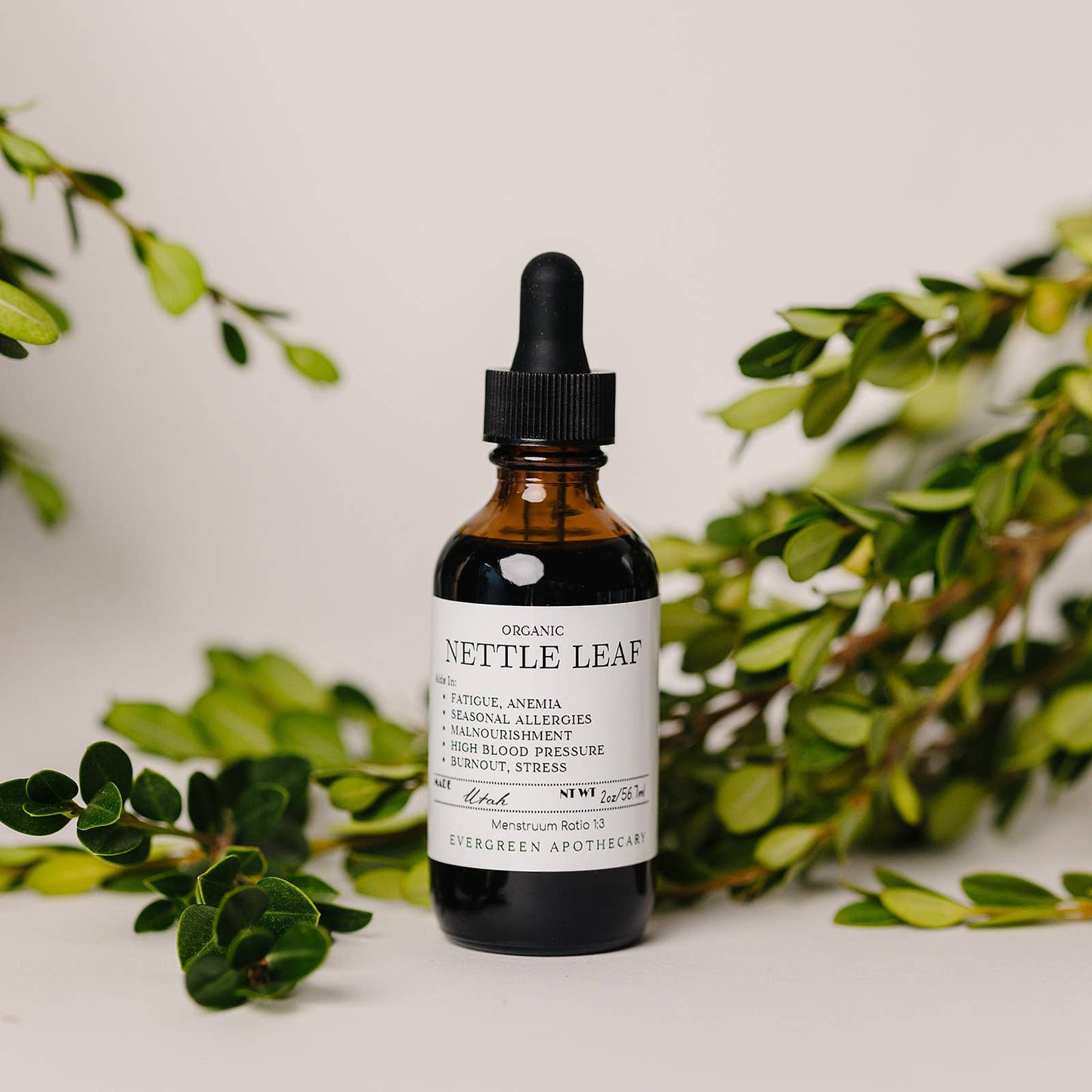 🌿✨Nettle Leaf Tincture Herbs for Symptoms No. 10