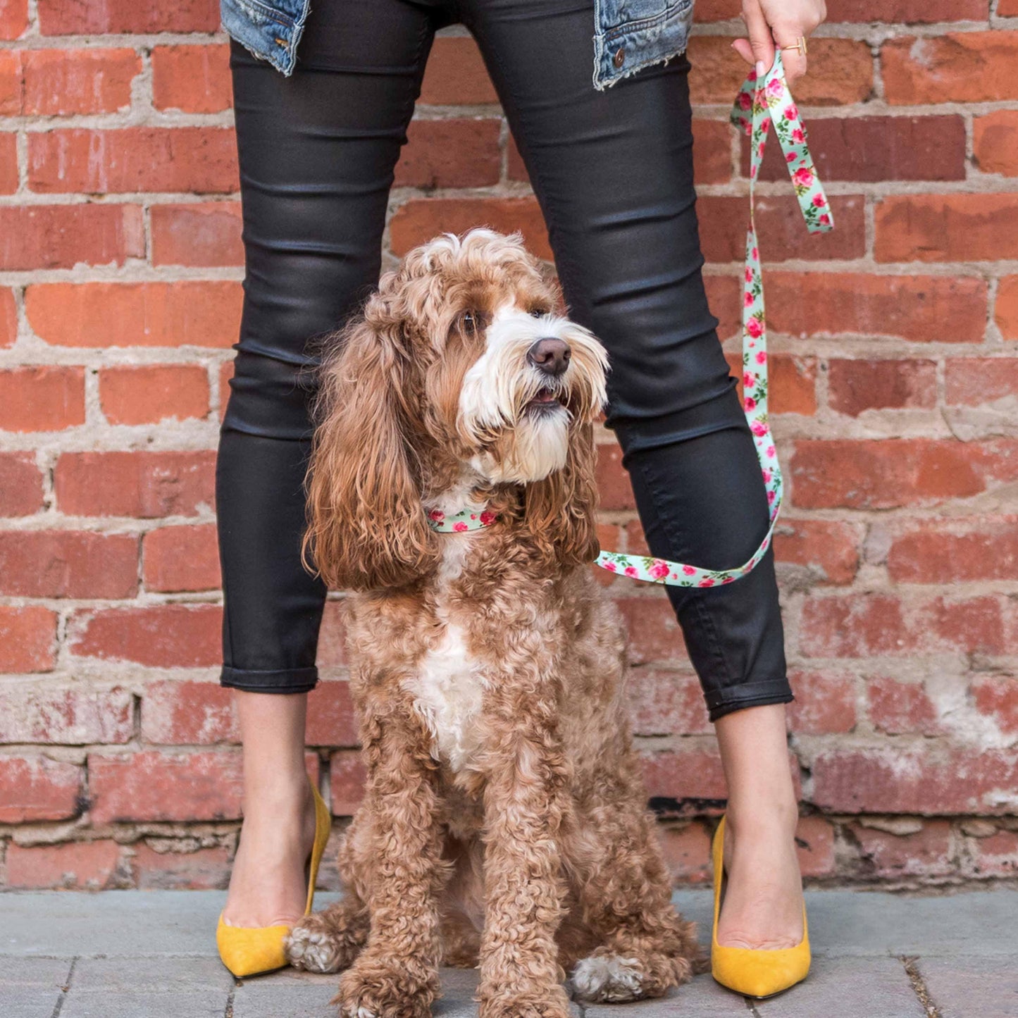 🌹 Best-Selling Floral Dog Collar – Elegant, Durable & Everyday Ready 🐾