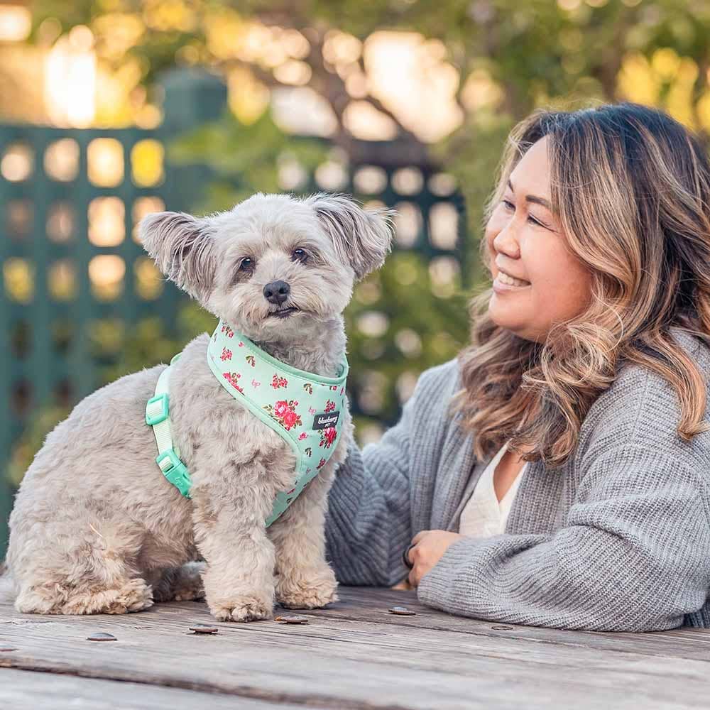 3 Colors, Petal Paws Floral Dog Harness Vest