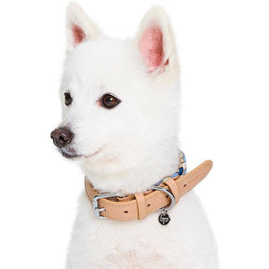 Braided Full Grain Leather Dog Collar