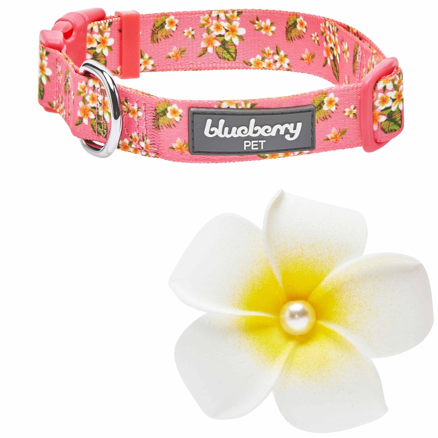 🌺 Tropical Flower Dog Collar – Bright, Durable & Stylish Everyday Wear 🐾
