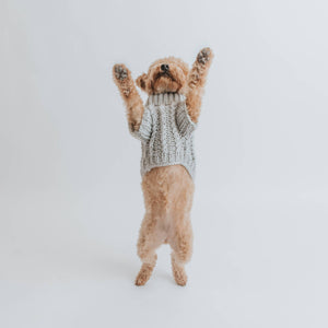 Dog Cable Knit Sweater - Gray