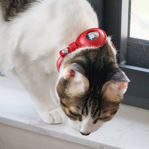 ✨🐱 Silver‑Powered Microfiber Vegan Leather AirTag Cat Collar