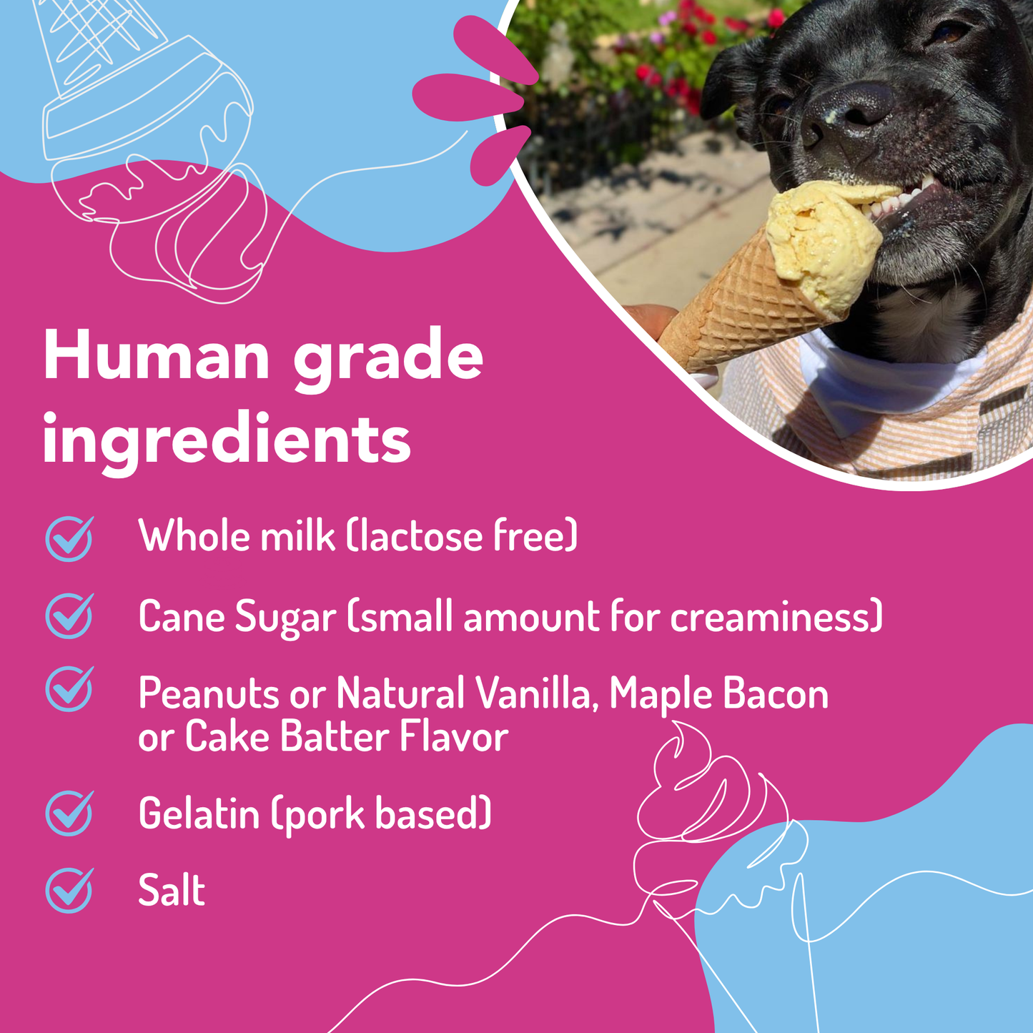 🍦🐾 Puppy Scoops Ice Cream Mix for Dogs