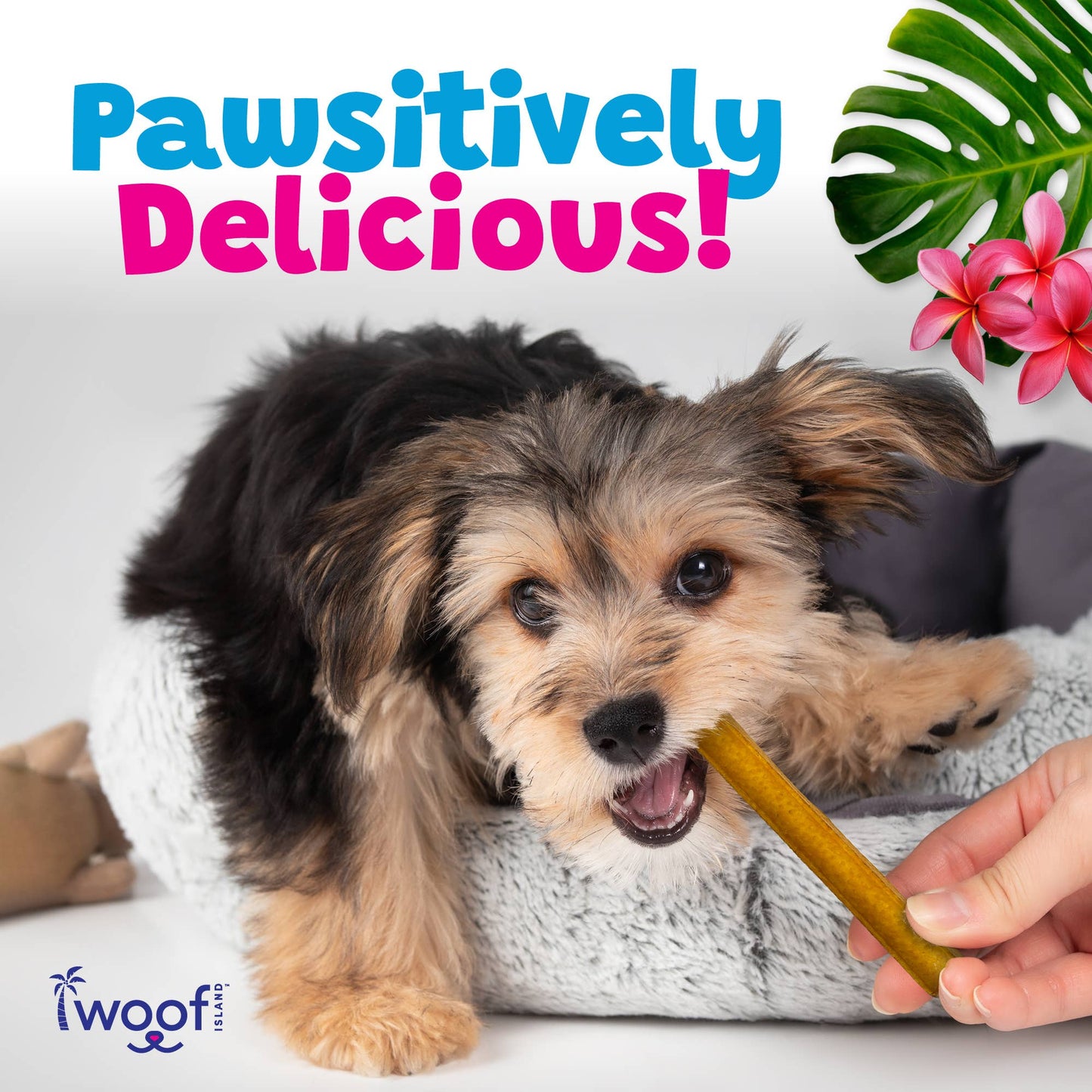 🌺🐷 Woof Island™ Kalua Pork Rolls – Long-Lasting Rawhide-Free Pork Chews for Dogs