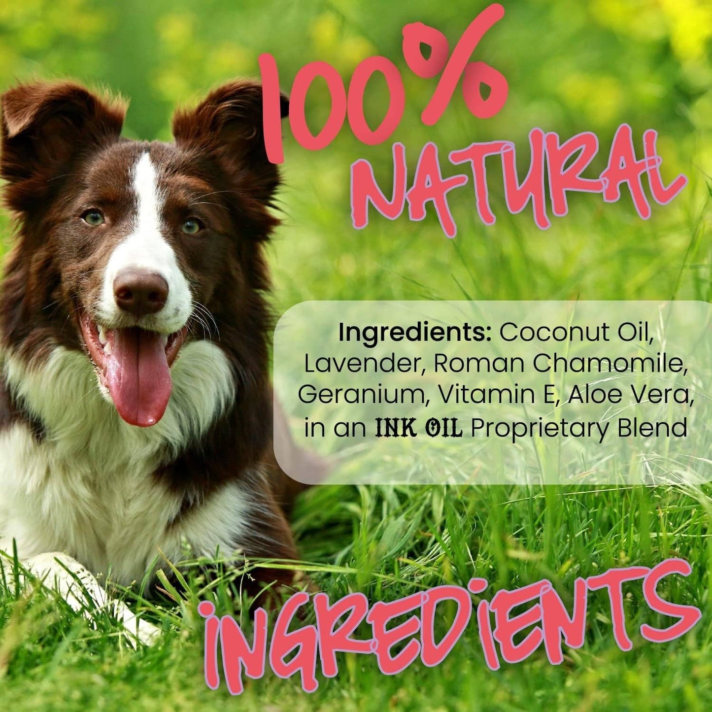 🐶🌿Itchy Pup Dog Skin Relief Oil for Allergies & Hot Spots