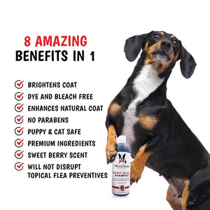 Magic Black Brightening Dog Shampoo