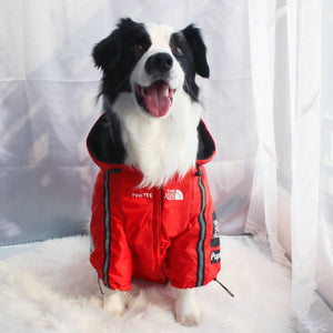 The Dog Face Pet Jacket