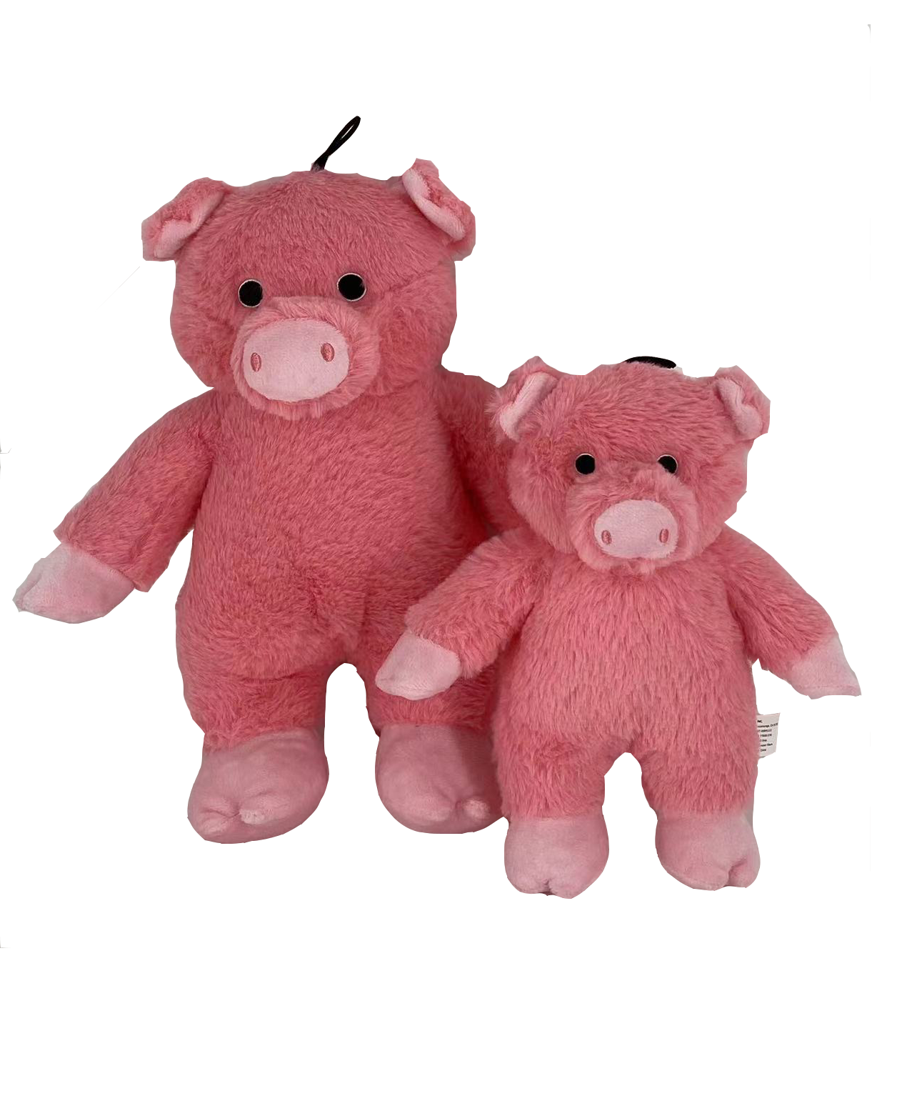 🐷💗Dalton the Pig Dog Toy