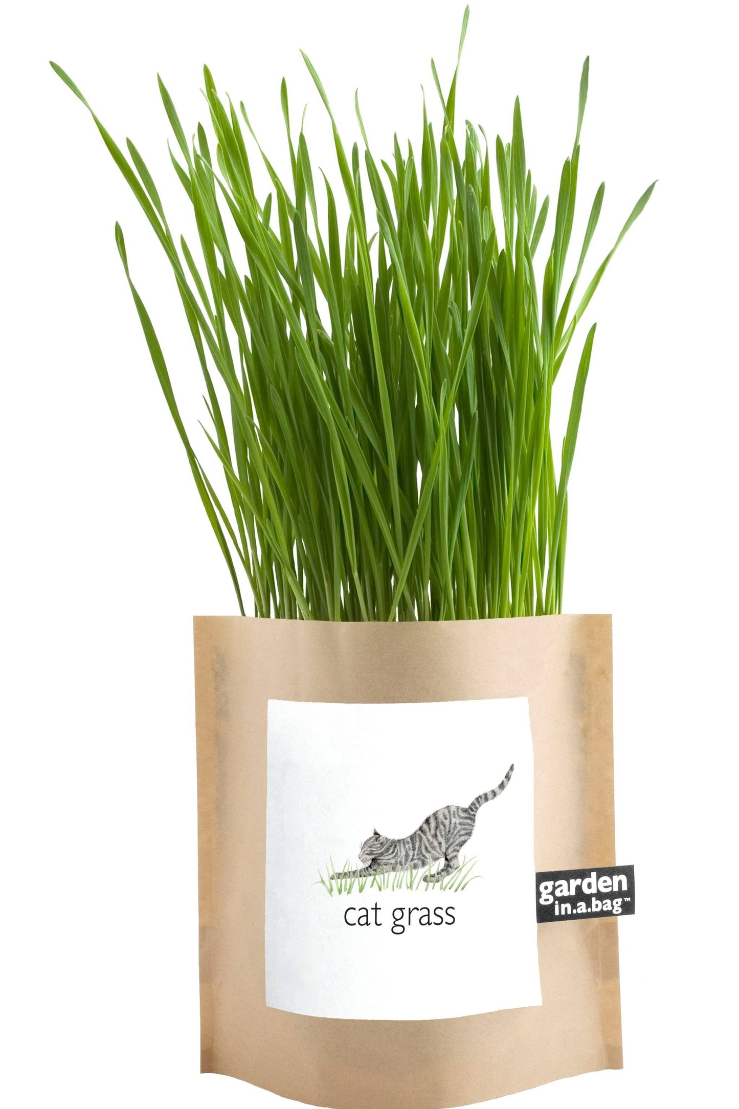 🐱🌱Garden in a Bag | Cat Grass | Spring Pet Treat Gift