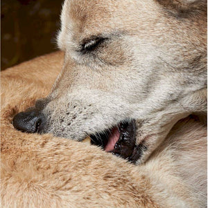 Hot Spot Relief Spray