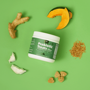 Probiotic 4 Billion Soft Chew Treats for Dogs