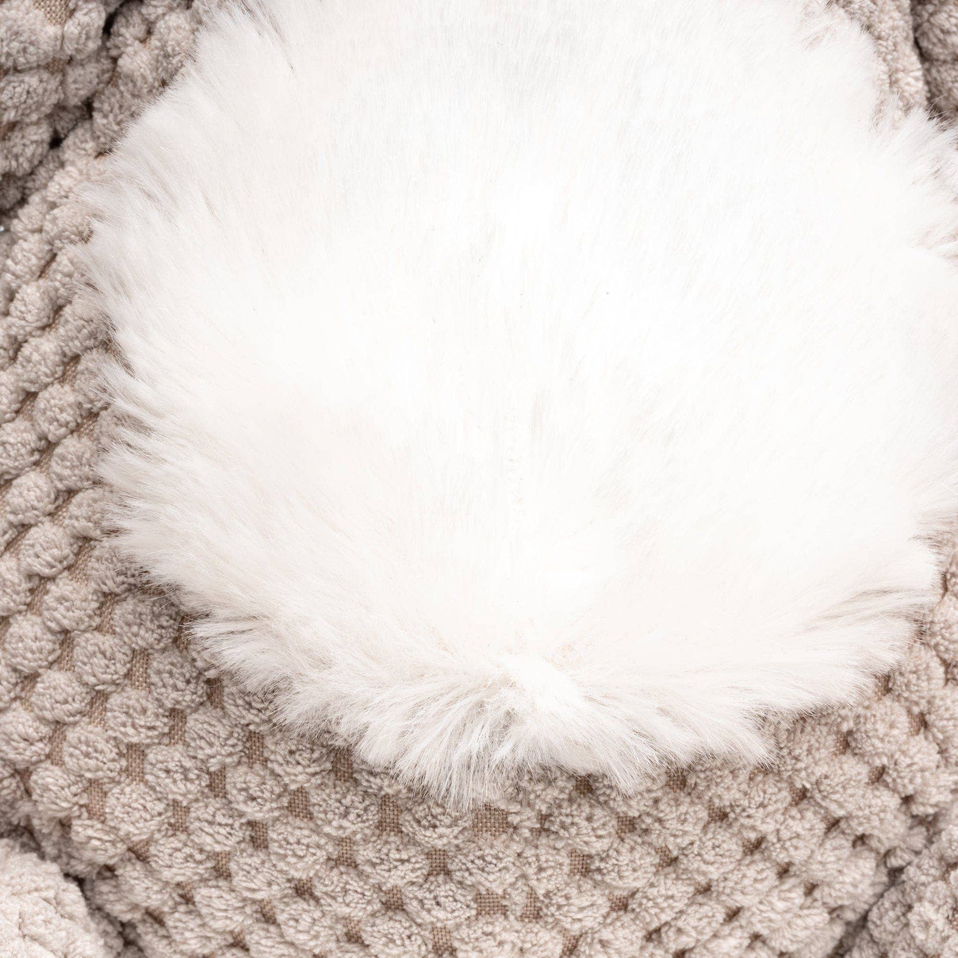 🐨💚 Floppy Koala Dog Toy