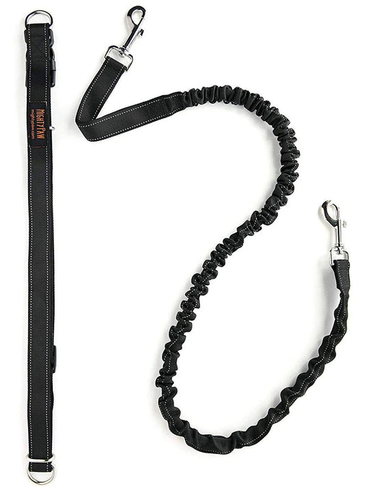 🏃♂️ Mighty Paw Bungee Hands-Free Dog Leash – Run, Walk &amp; Explore Together 🐾