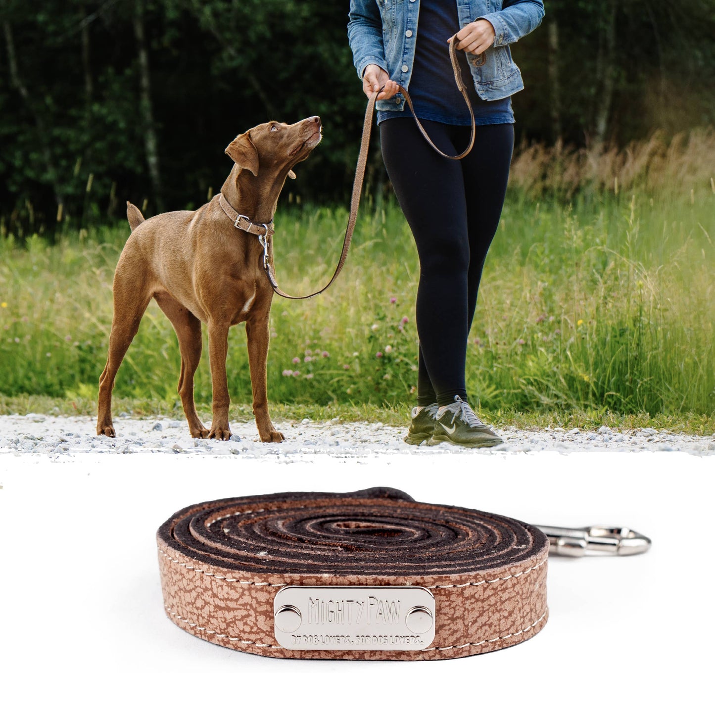 Mighty Paw Premium Leather Dog Leash – 5-Foot 🐶🤎