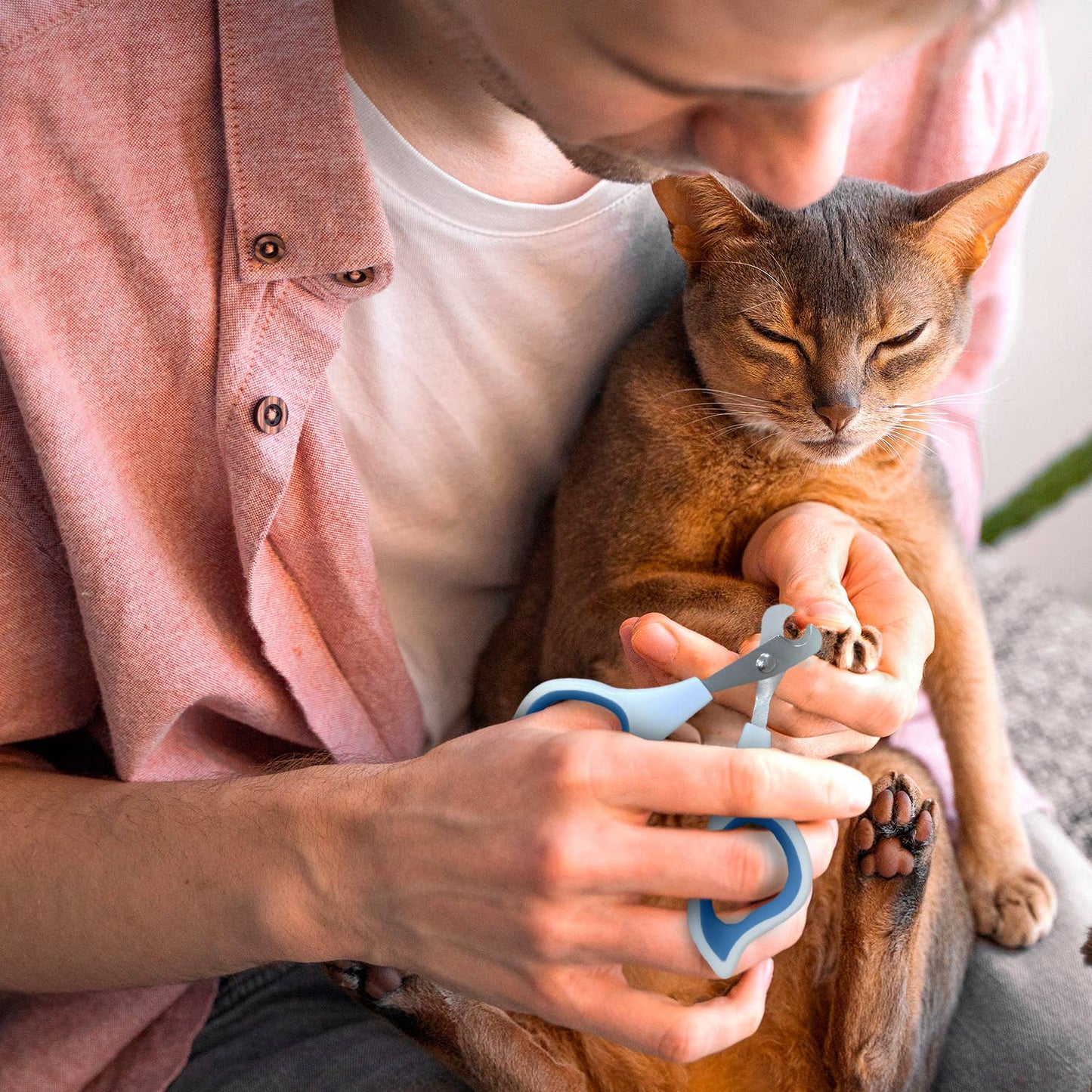 Ocean Plastic by PT Pet Nail Clipper Grooming Tool