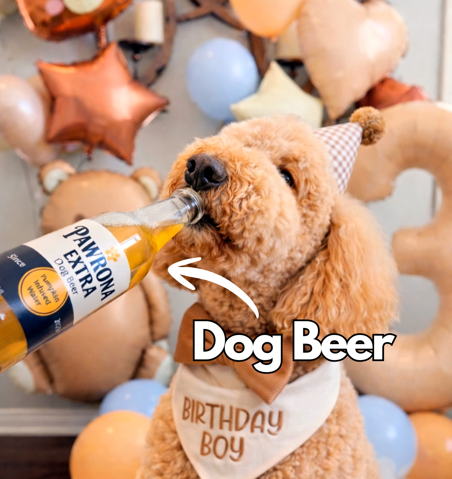 🍺🐾 Paw-Rona™ Dog Beer 🐶✨