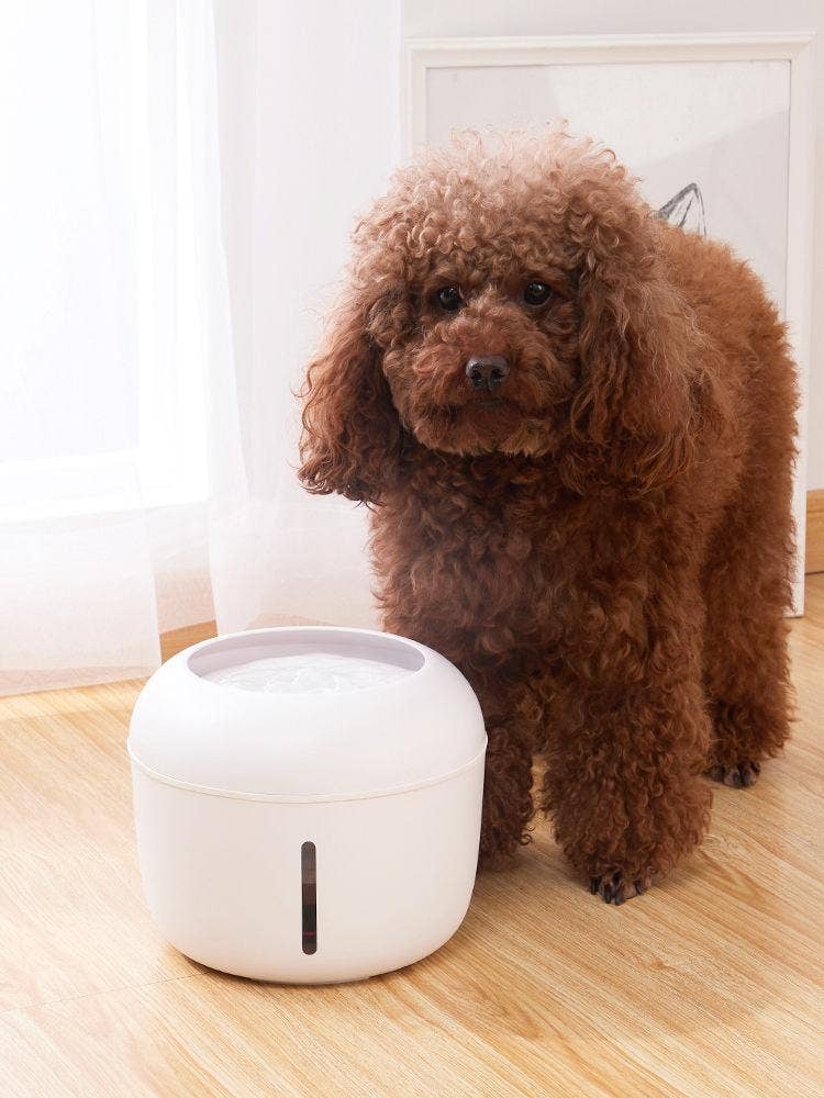 🐾💙Pet Life Moda-Pure Ultra-Quiet Dog & Cat Fountain Waterer