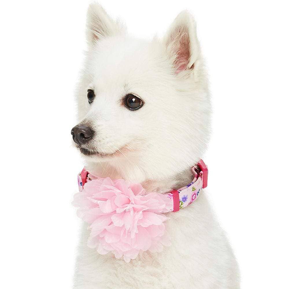 🌸 Floral Dog Collar with Pink Peony – Elegant, Feminine & Fashion-Forward 🐾