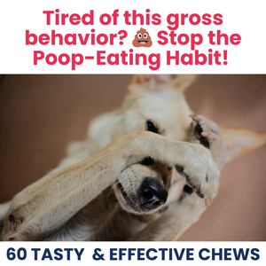 Poop Eating Deterrent Chew