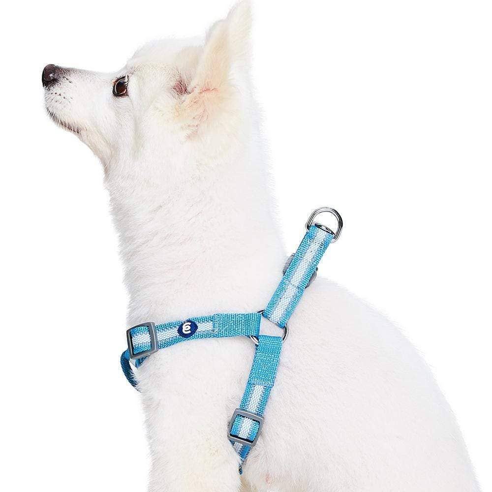 🌙🐾Better Basics Reflective Dog Harness