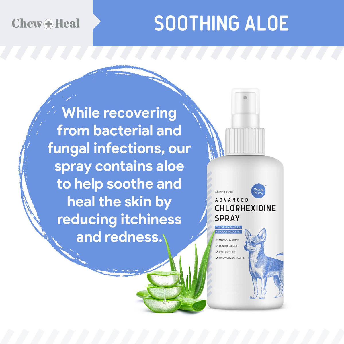 🐶🩹Chew + Heal Advanced Chlorhexidine Medicated Wound Care Spray for Dogs