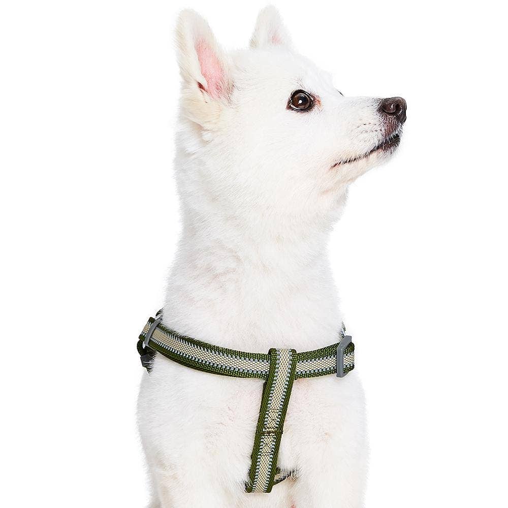 🌙🐾Better Basics Reflective Dog Harness