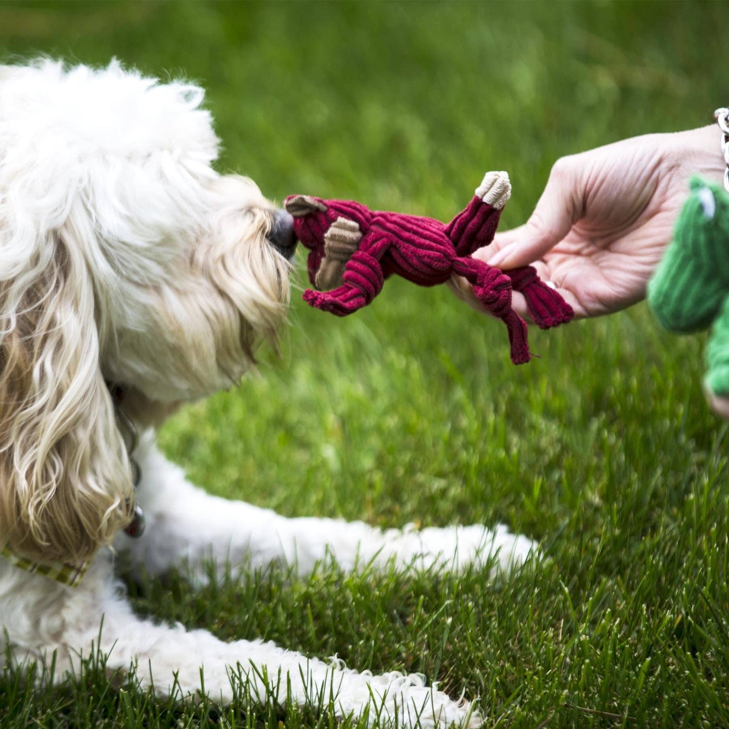 Wee Huggles® Plush Dog Toys