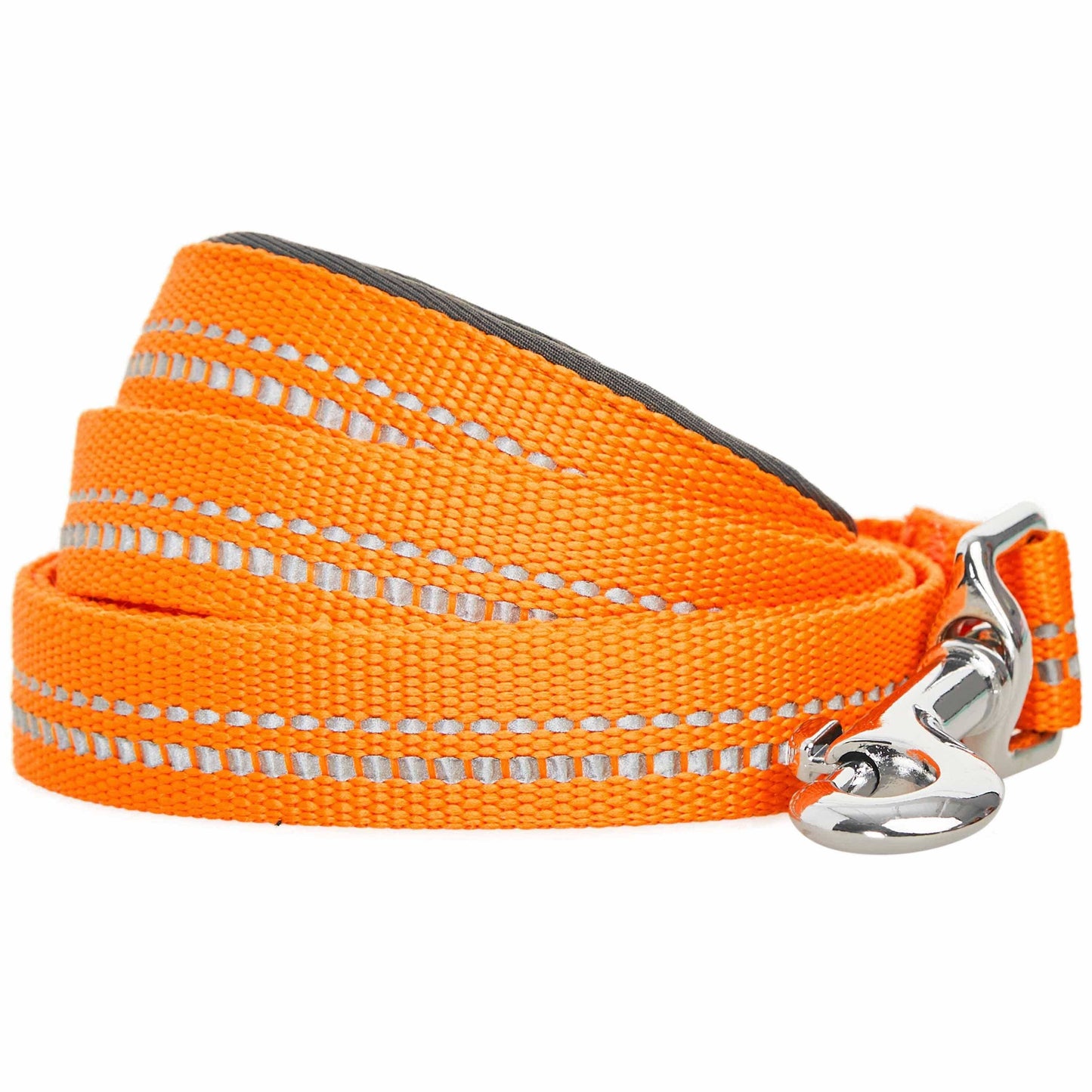 🌸 Spring Colors Reflective Soft Padded Safety Dog Leash