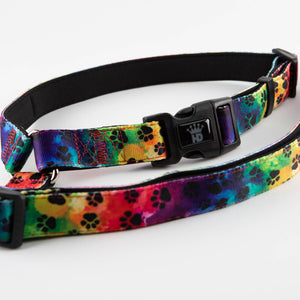 🌈🚗 Seat Belt Leash