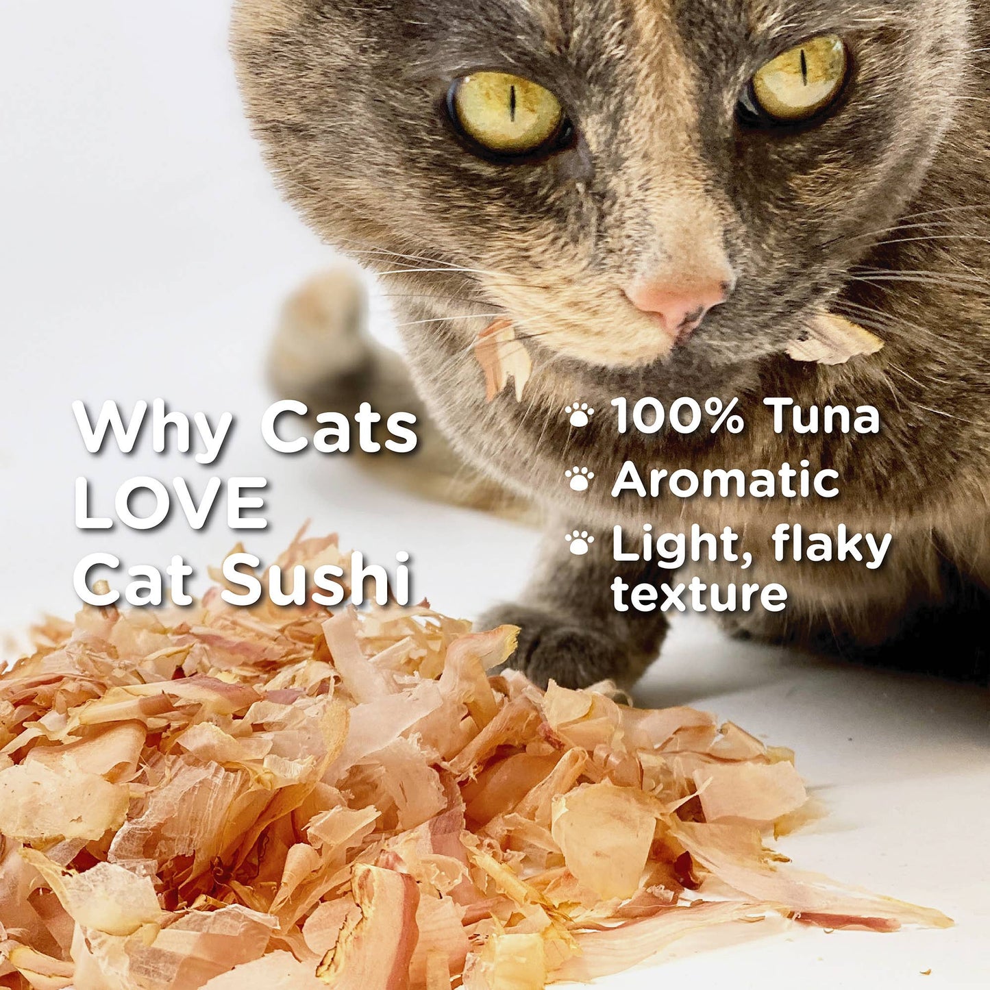 🐟🐱 Cat Sushi Bonito Flakes